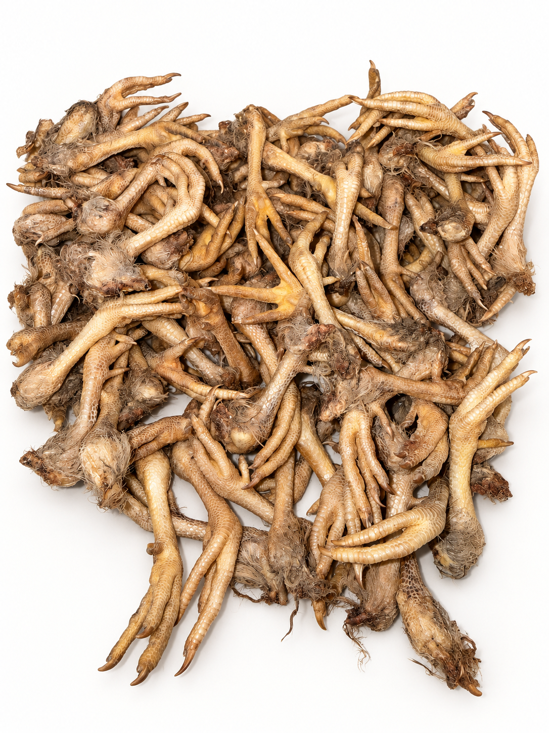 Quail Feet - polished supplied product photograph