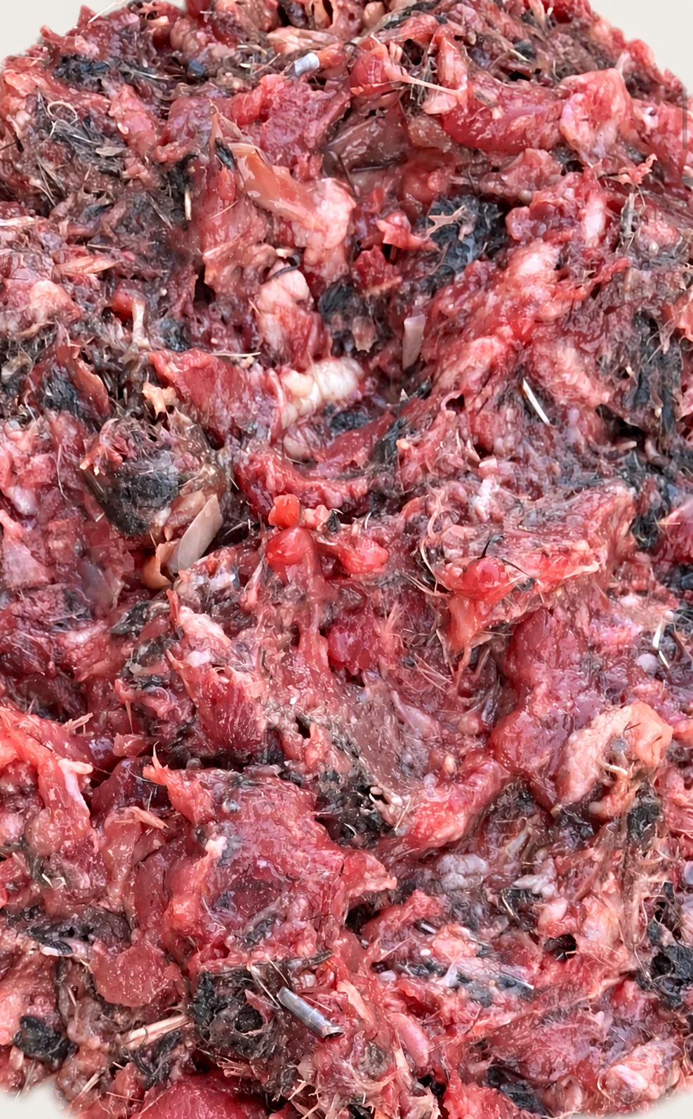 Raw Quail - cleaned supplied product photograph